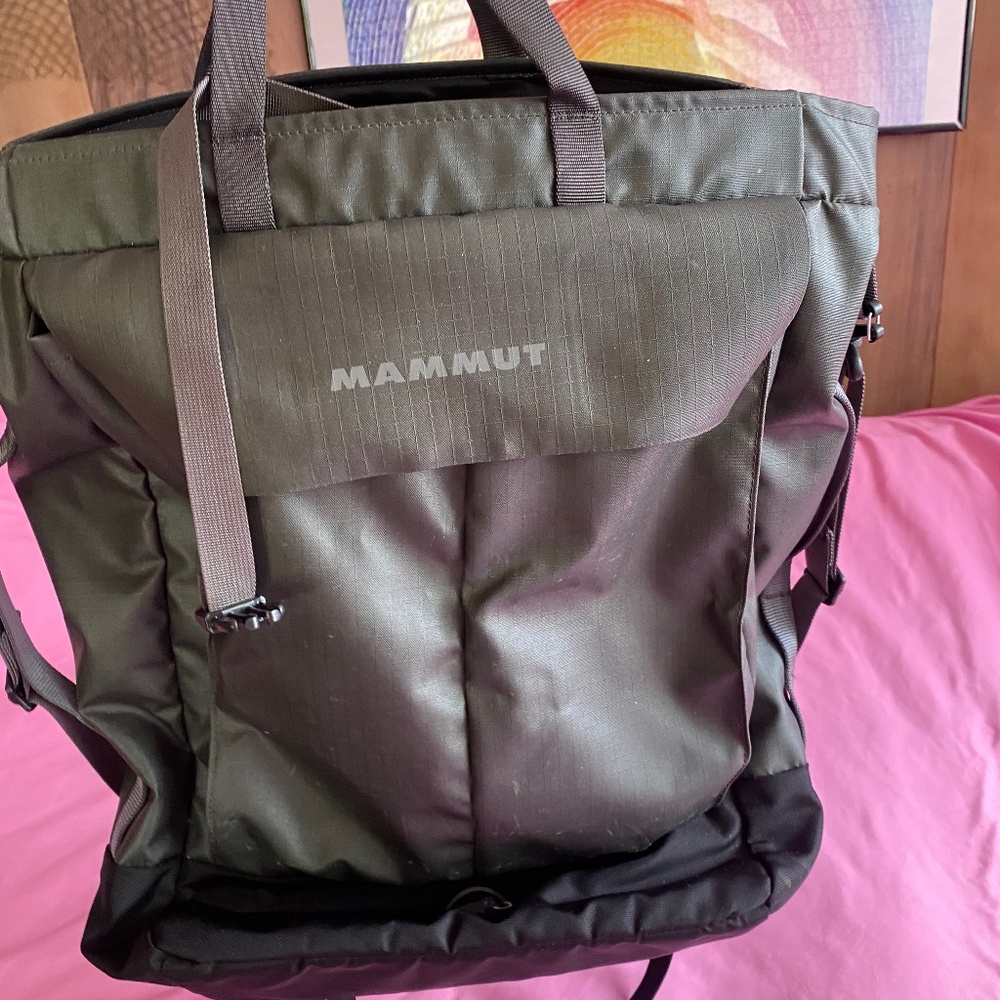 Hiking bag